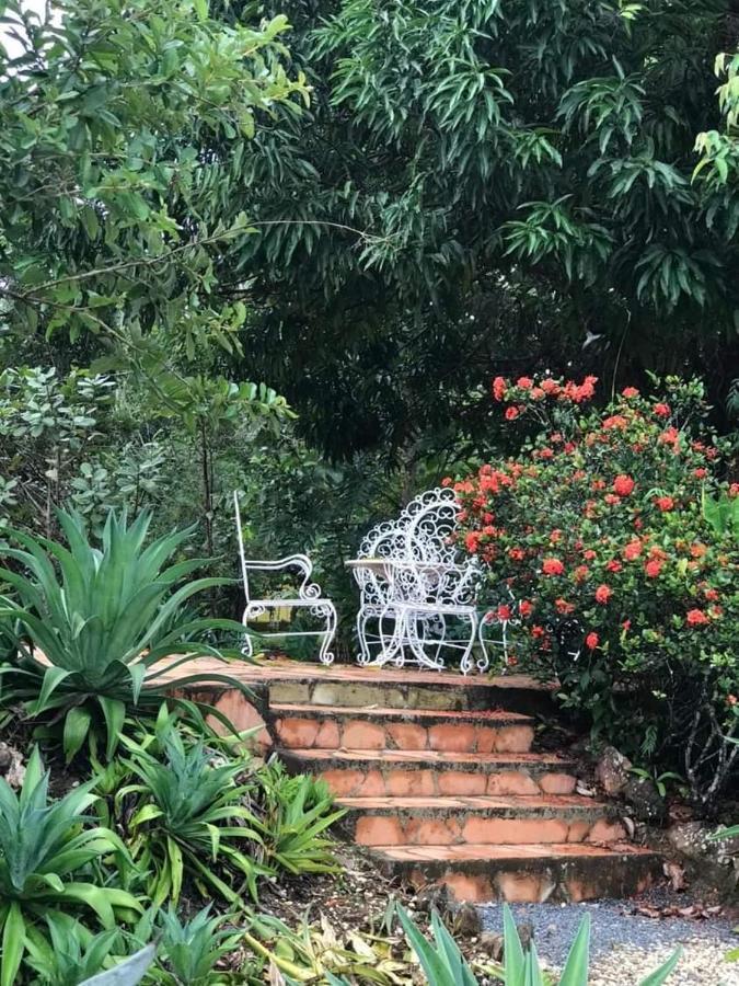 Casa Tangara Hotel Cavalcante Luaran gambar